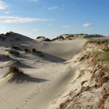 Dunes of Schouwen-Duiveland © Darko Lagunas (instagram: @darkolagunas)
