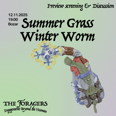 summer grass