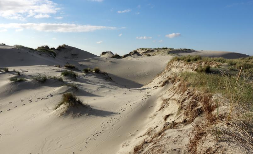 The Dunes of Schouwen Duivelland